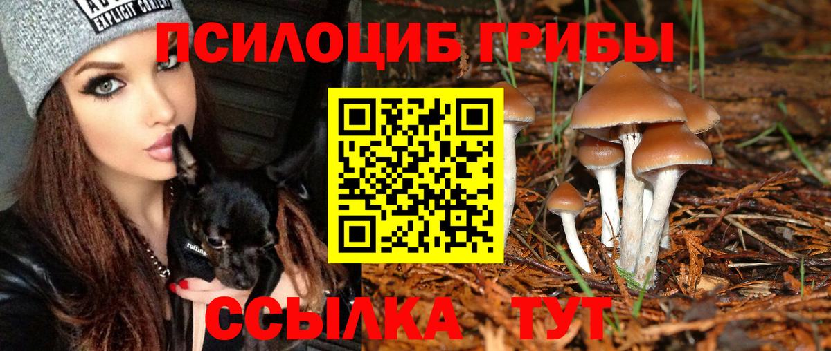 Псилоцибиновые грибы Psilocybe  Вход с VPN  Спасск-Дальний 